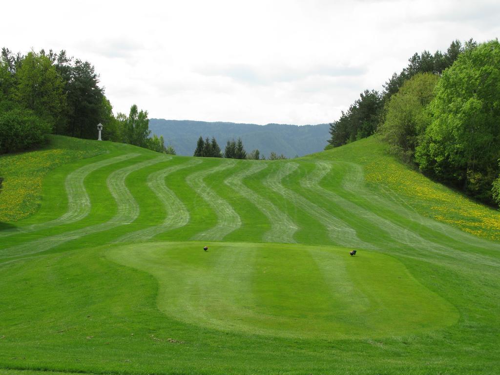 Baroque Villa Near Bled - Resort Vidmar レスツェ 部屋 写真