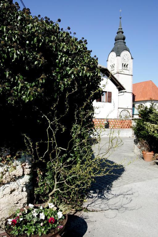 Baroque Villa Near Bled - Resort Vidmar レスツェ エクステリア 写真